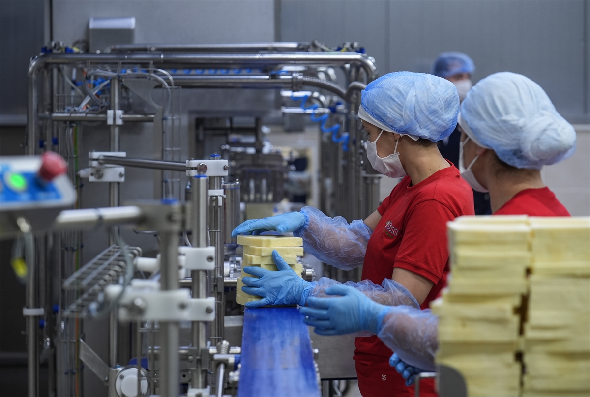 - Tarım ve Kırsal Kalkınmayı Destekleme Kurumu süt üretiminde ön