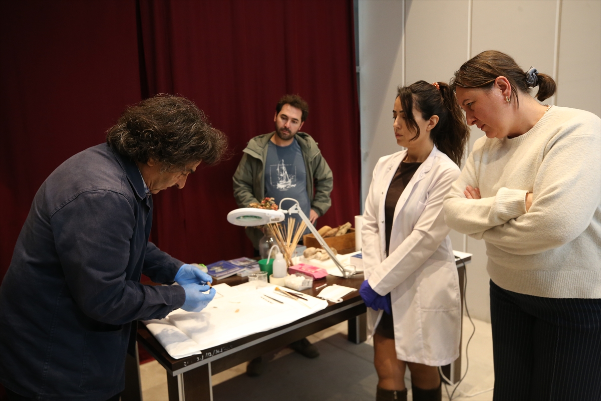 - Çanakkale merkeze bağlı Tevfikiye köyü sınırları içinde yer alan