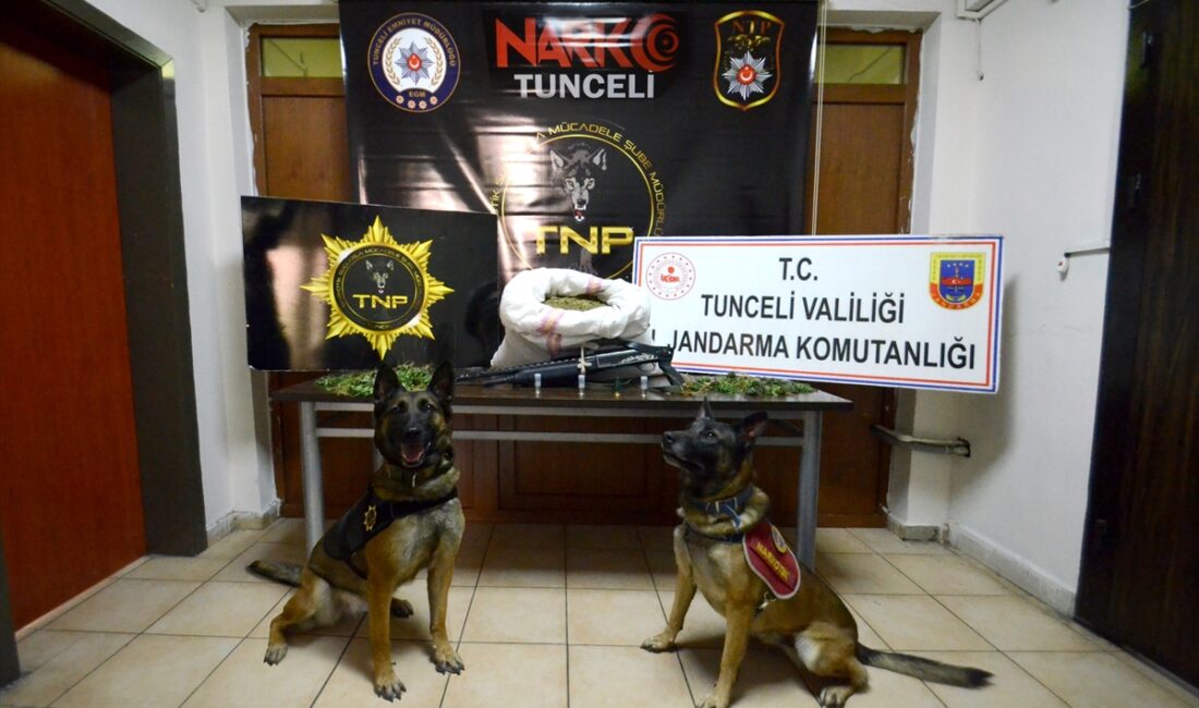 TUNCELİ (AA) – Tunceli merkezli 3 ilde düzenlenen uyuşturucu operasyonunda