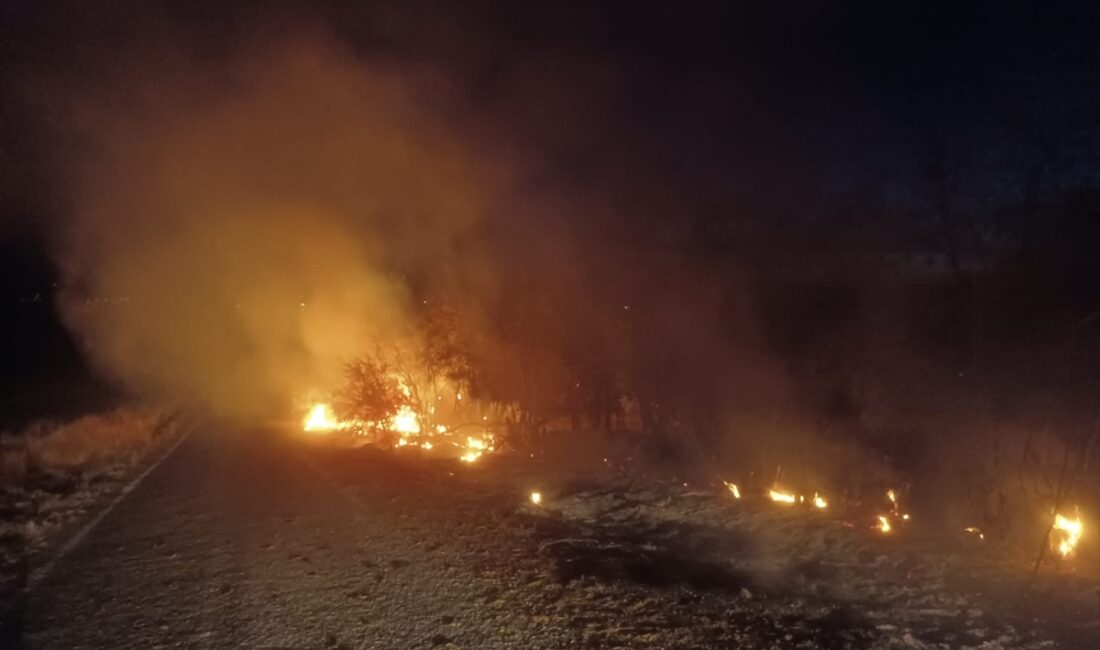TUNCELİ (AA) – Tunceli'nin Çemişgezek ilçesinde otluk alanda çıkan yangın,