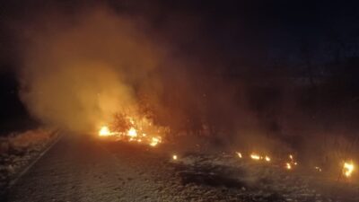 TUNCELİ (AA) – Tunceli'nin Çemişgezek ilçesinde otluk alanda çıkan yangın,