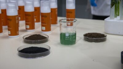 - Bolu Abant İzzet Baysal Üniversitesi Biyoloji Bölümü Öğretim Üyesi