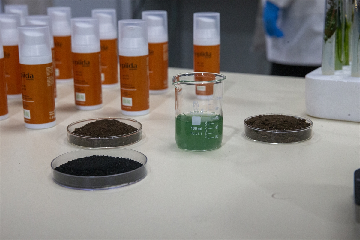 - Bolu Abant İzzet Baysal Üniversitesi Biyoloji Bölümü Öğretim Üyesi