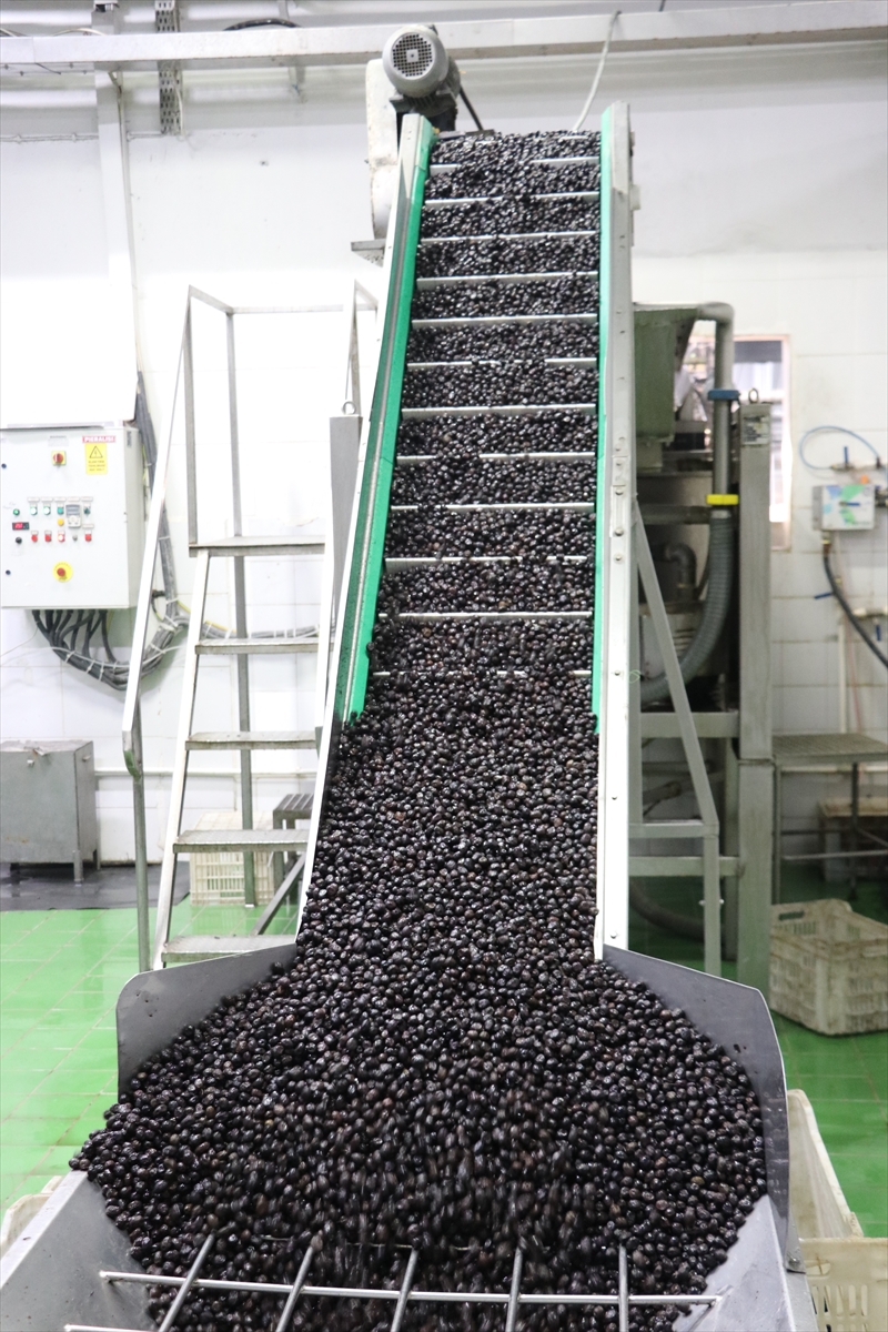 - Marmarabirlik Yönetim Kurulu Başkanı Ali Yıldız:
- "Avrupa'nın her yerine