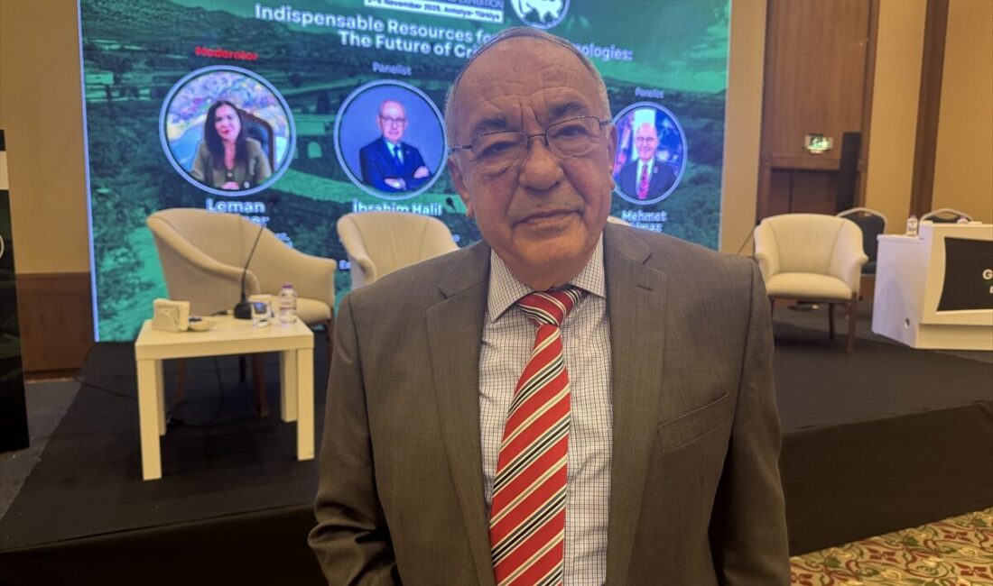 - TOBB Türkiye Madencilik Meclisi Başkanı İbrahim Halil Kırşan:
- "Dünyada