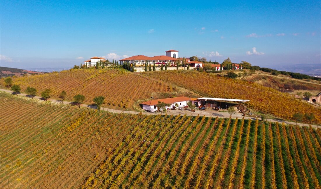 MANİSA (AA) – Manisa'nın Kula ilçesindeki "Yanık Ülke" olarak bilinen