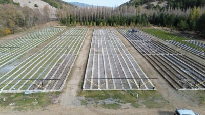 - Akdağmadeni Orman Fidanlık Şefliği'nde yetiştirilen milyonlarca fidan, çevre illerin