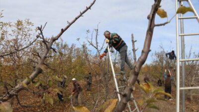- Kadışehri ilçesine bağlı Kabalı köyünde 2009 yılında köylülerin tarlaları