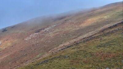 TRABZON (AA) – Trabzon'un Maçka ilçesindeki Saveriksa Yaylası, sonbaharın bitmesine