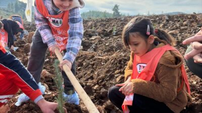 İSTANBUL (AA) – Türkiye İş Bankası, Orman Genel Müdürlüğü ve
