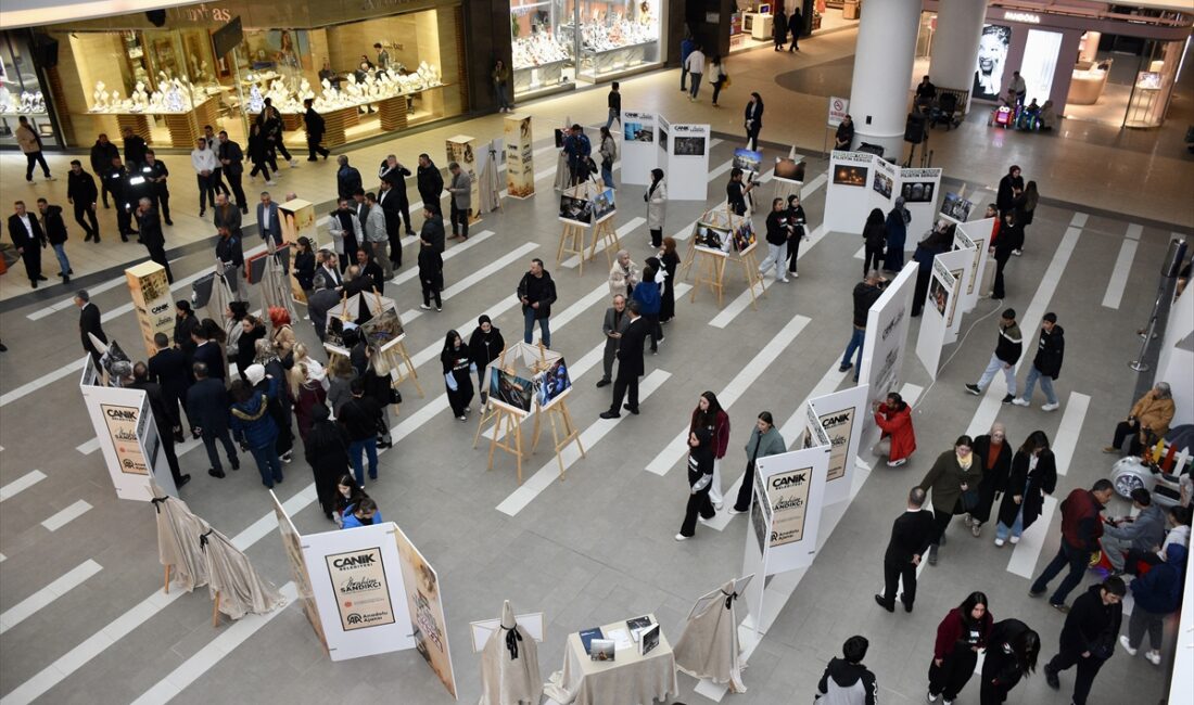 SAMSUN (AA) – Anadolu Ajansının (AA), İsrail'in Gazze'de işlediği suçları