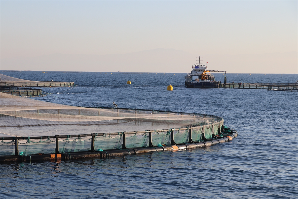 - Yumurtalık ve Karataş ilçeleri arasındaki su ürünleri yetiştiricilik bölgesinde