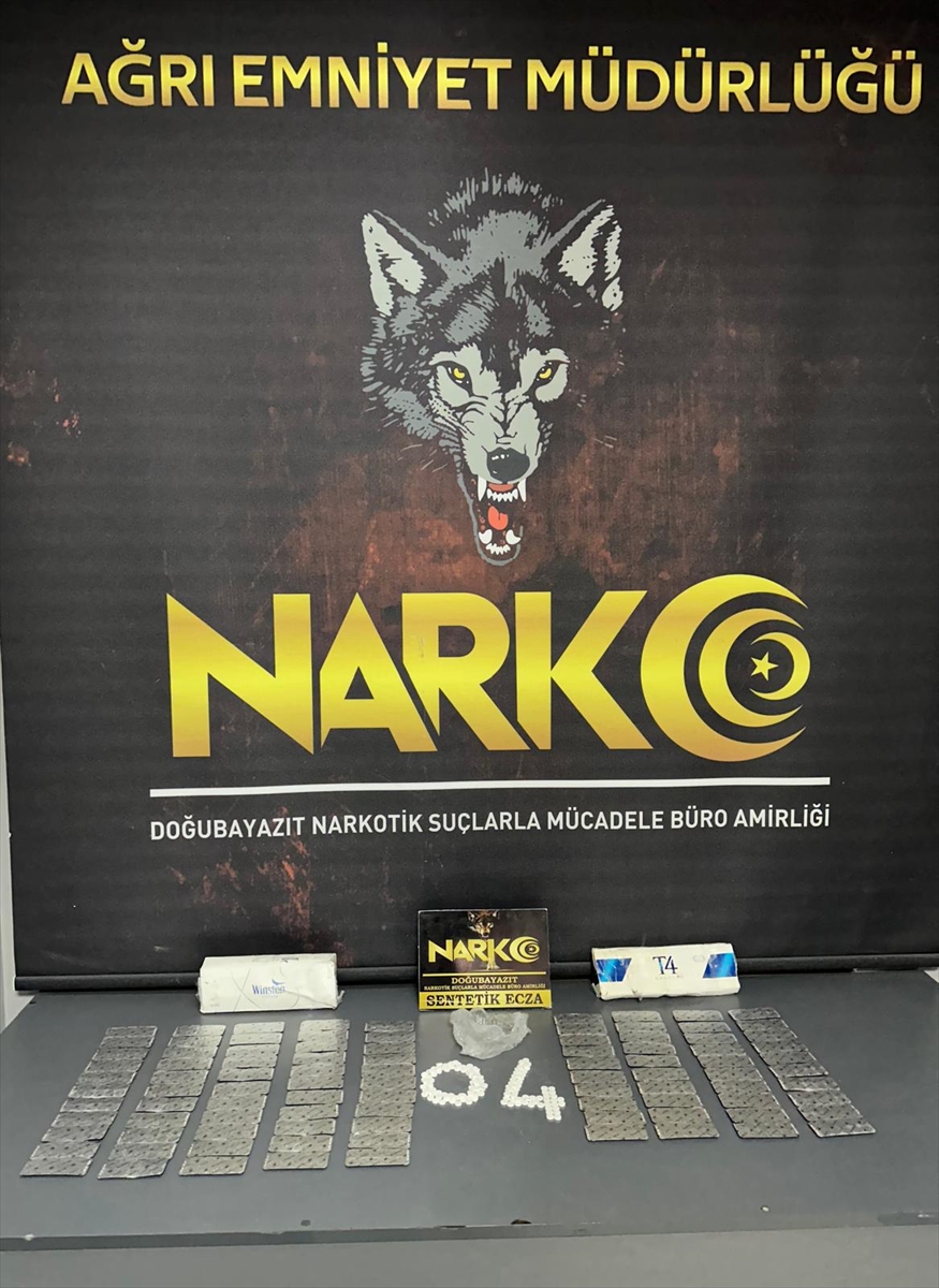 AĞRI (AA) – Ağrı il merkezi ve Doğubayazıt ilçesinde düzenlenen