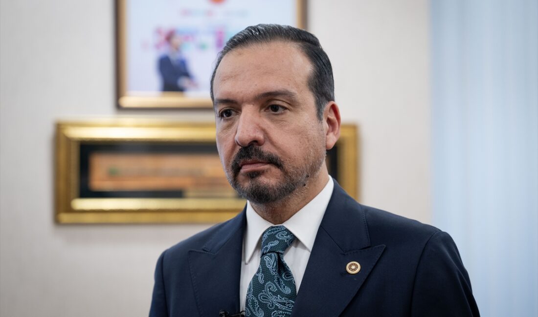 - Genel Başkan Yardımcısı Kürşad Zorlu:
- "AK Parti Türk Dünyası