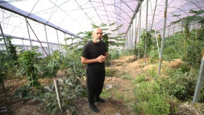 - Tropikal Meyve Üreticileri Birliği Başkanı Ali Hüddoğlu:
- "Kuveyt'ten başladık.