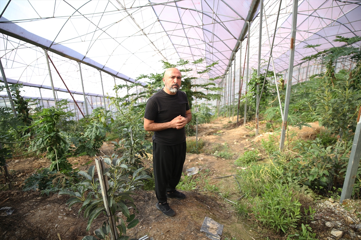 - Tropikal Meyve Üreticileri Birliği Başkanı Ali Hüddoğlu:
- "Kuveyt'ten başladık.