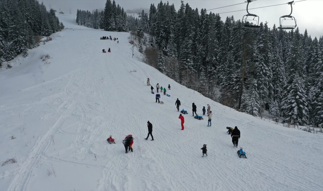 - Ilgaz Dağı'ndaki oteller yeni yıla yüzde 100 doluluk oranıyla