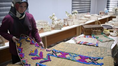 - Düzce'de doğada yetişen mukavemetli bitkilerin dal ve yapraklarını dekoratif