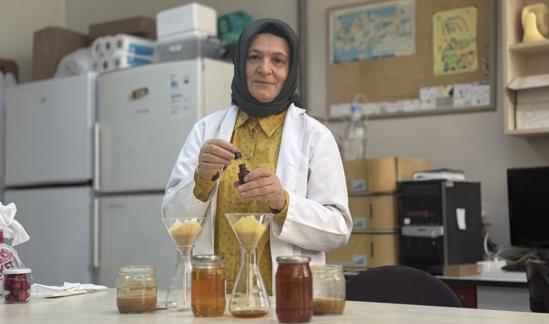 - Trabzon'da, Karadeniz Teknik Üniversitesi bünyesinde kurulan Arı ve Arı