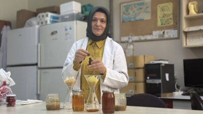 - Trabzon'da, Karadeniz Teknik Üniversitesi bünyesinde kurulan Arı ve Arı