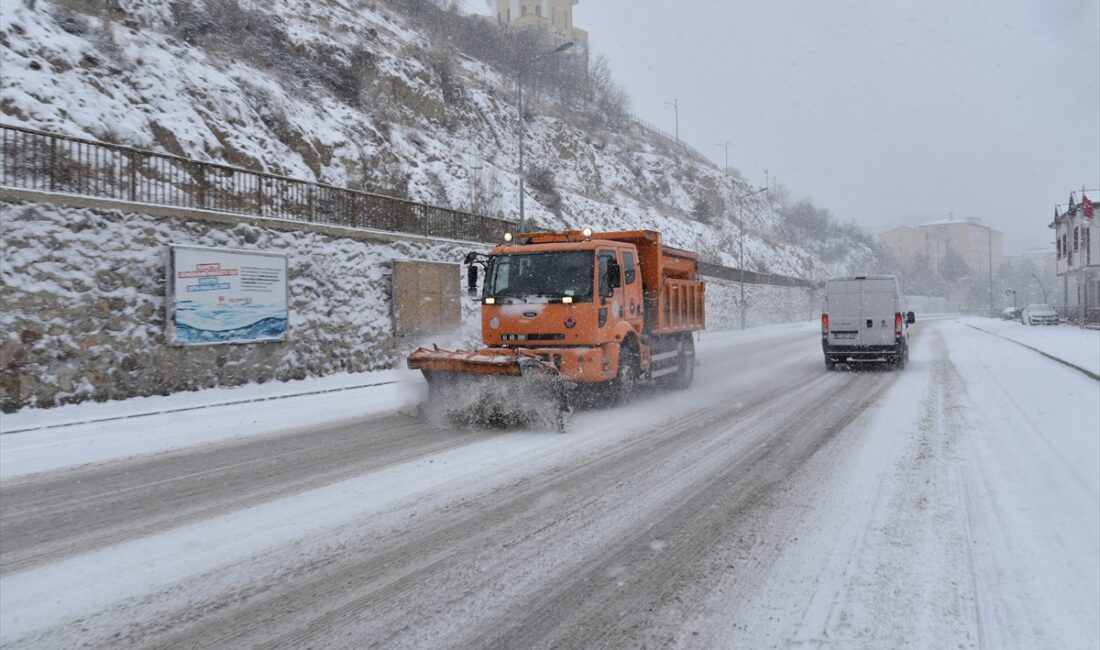 ARTVİN (AA) – Artvin ve Gümüşhane'de etkili olan kar yağışı