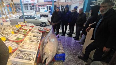 ERZİNCAN (AA) – Erzincan'daki 287 kilogram ağırlığındaki orkinos balığı vatandaşların