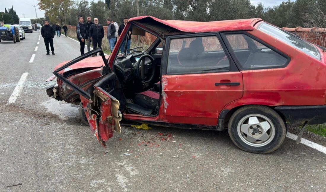 BALIKESİR (AA) – Balıkesir'in Havran ilçesinde otomobil ile hafif ticari