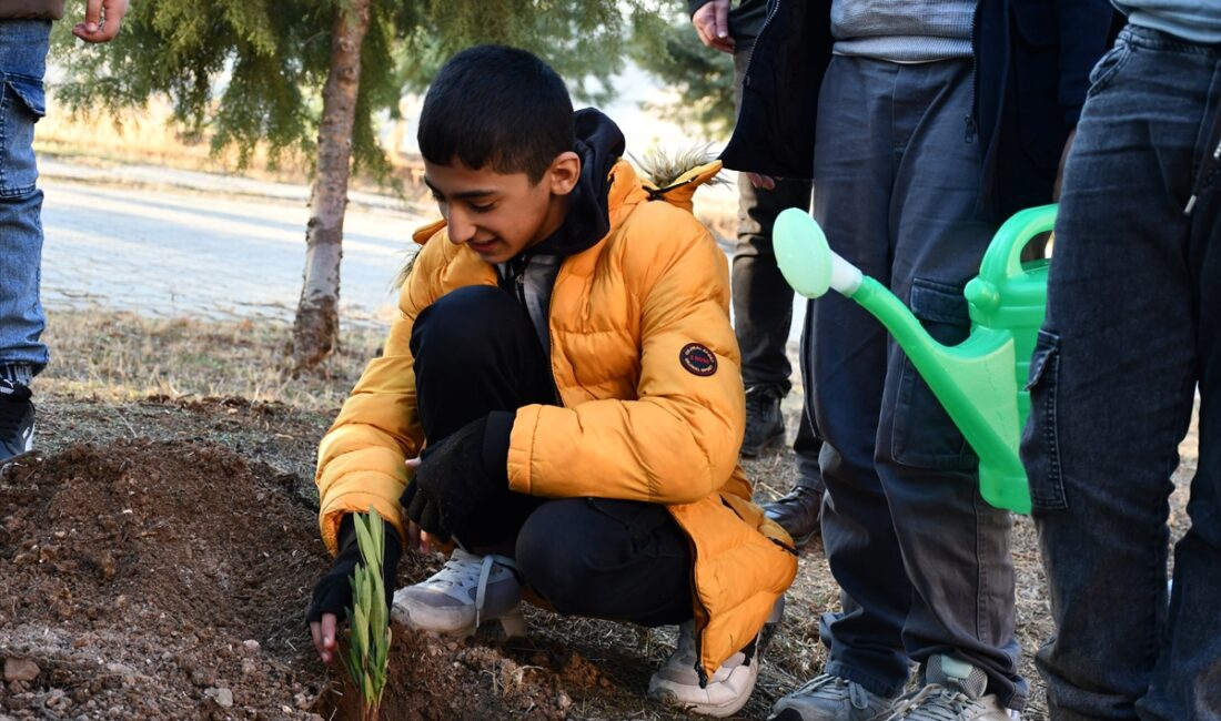 - Etkinlikte, üniversitede fidan diken özel bireyler, Güzel Sanatlar Fakültesi