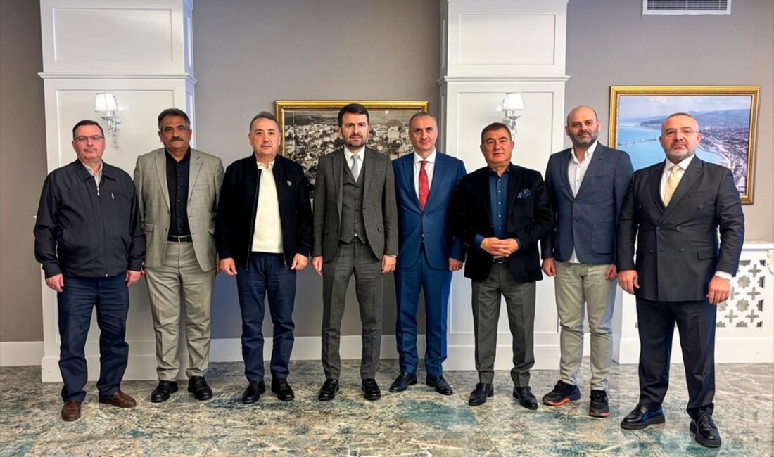 - "Hedefimiz sadece mevcut yapıyı korumak değil, basın kuruluşlarının ilan