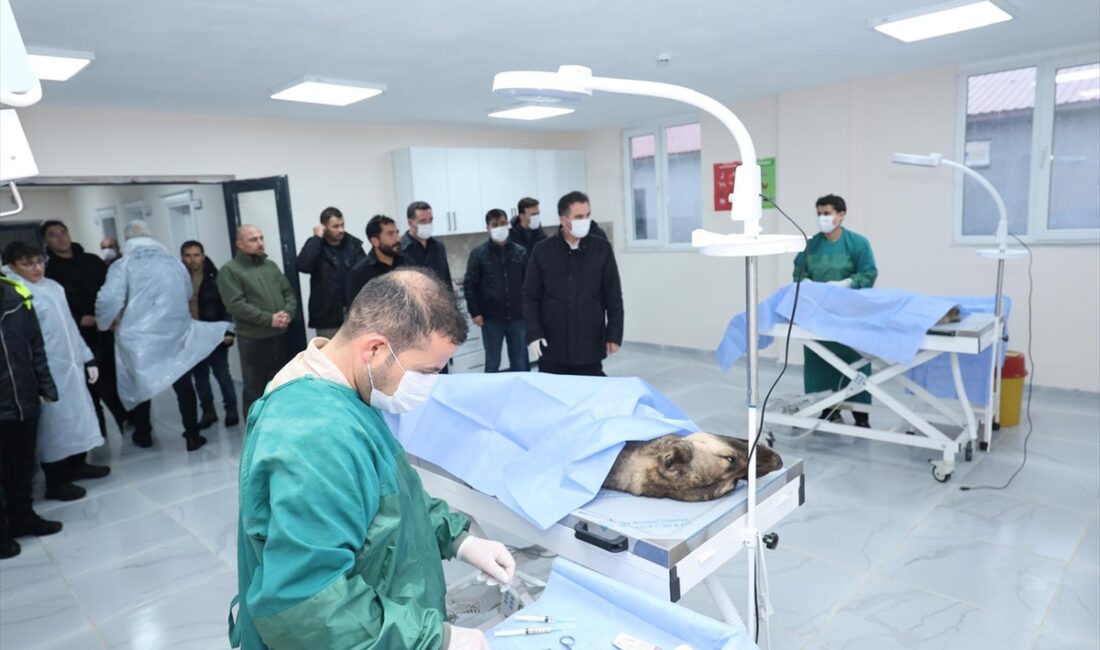 BİTLİS (AA) – Bitlis Valisi Ahmet Karakaya, Sokak Hayvanları Bakımevi