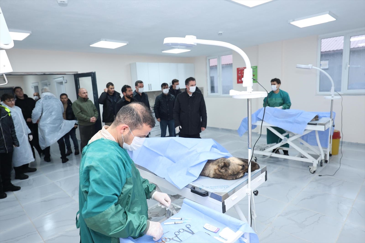 BİTLİS (AA) – Bitlis Valisi Ahmet Karakaya, Sokak Hayvanları Bakımevi