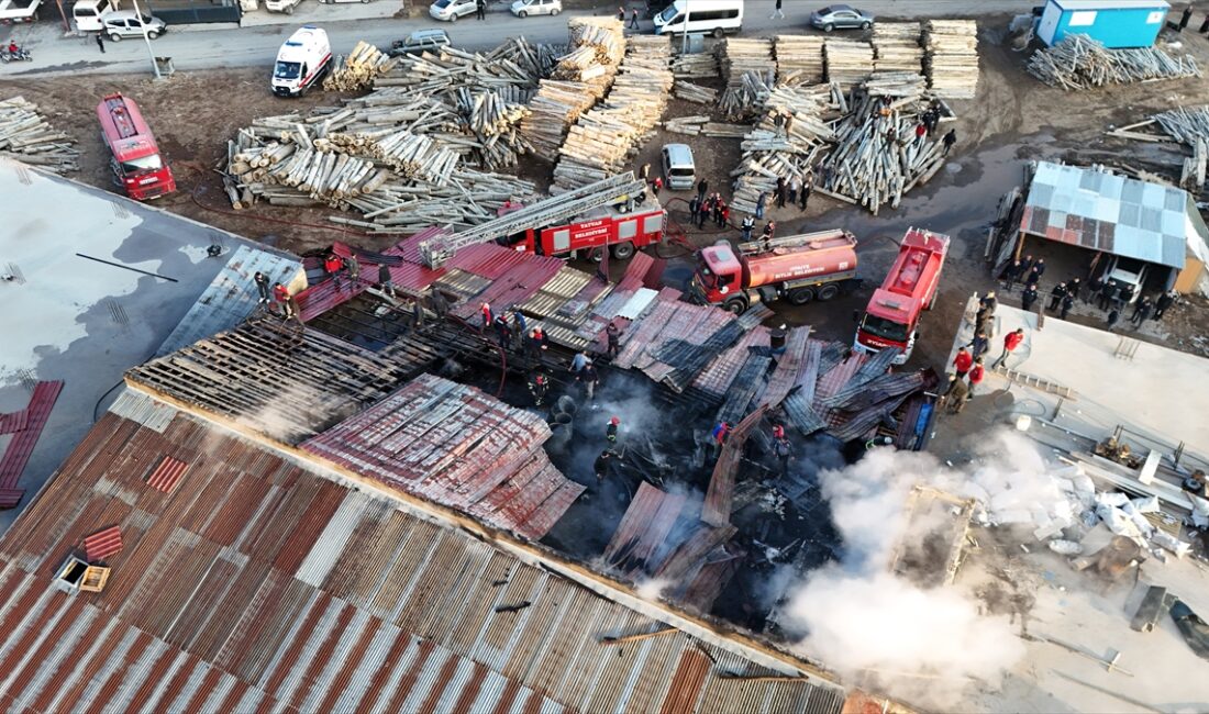 BİTLİS (AA) – Bitlis'in Tatvan ilçesinde bir kereste işletmesinde çıkan