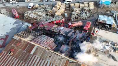 BİTLİS (AA) – Bitlis'in Tatvan ilçesinde bir kereste işletmesinde çıkan