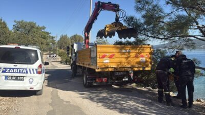 MUĞLA (AA) – Muğla'nın Bodrum ilçesinde, sahilde ölü caretta caretta
