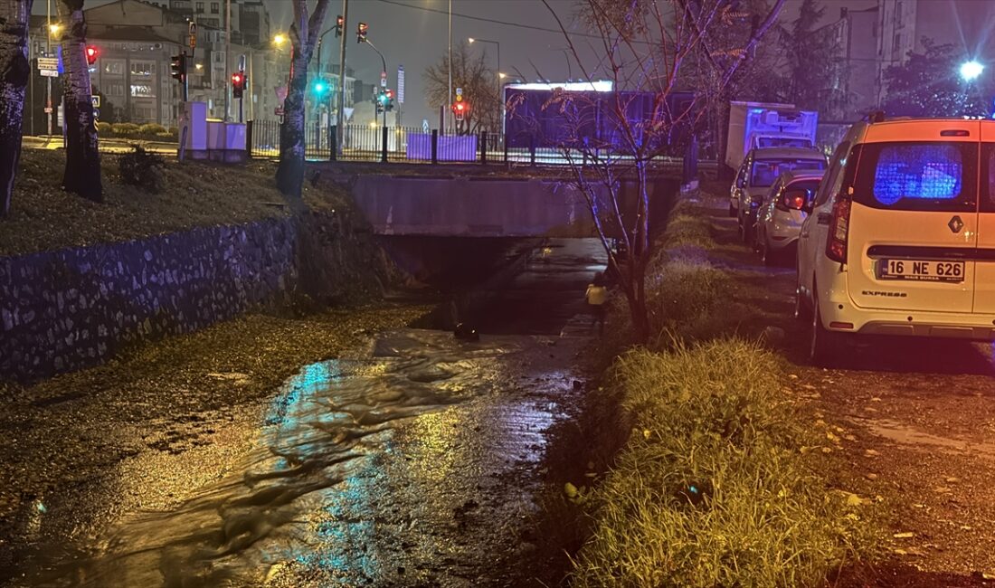 BURSA (AA) – Bursa'nın Yıldırım ilçesinde dere yatağında erkek cesedi