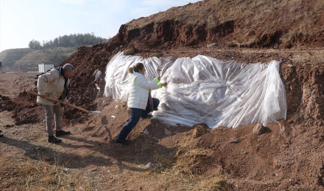 - Çorakyerler Kazı Başkanı Prof. Dr. Ayla Sevim Erol:
- "2025