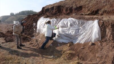 - Çorakyerler Kazı Başkanı Prof. Dr. Ayla Sevim Erol:
- "2025