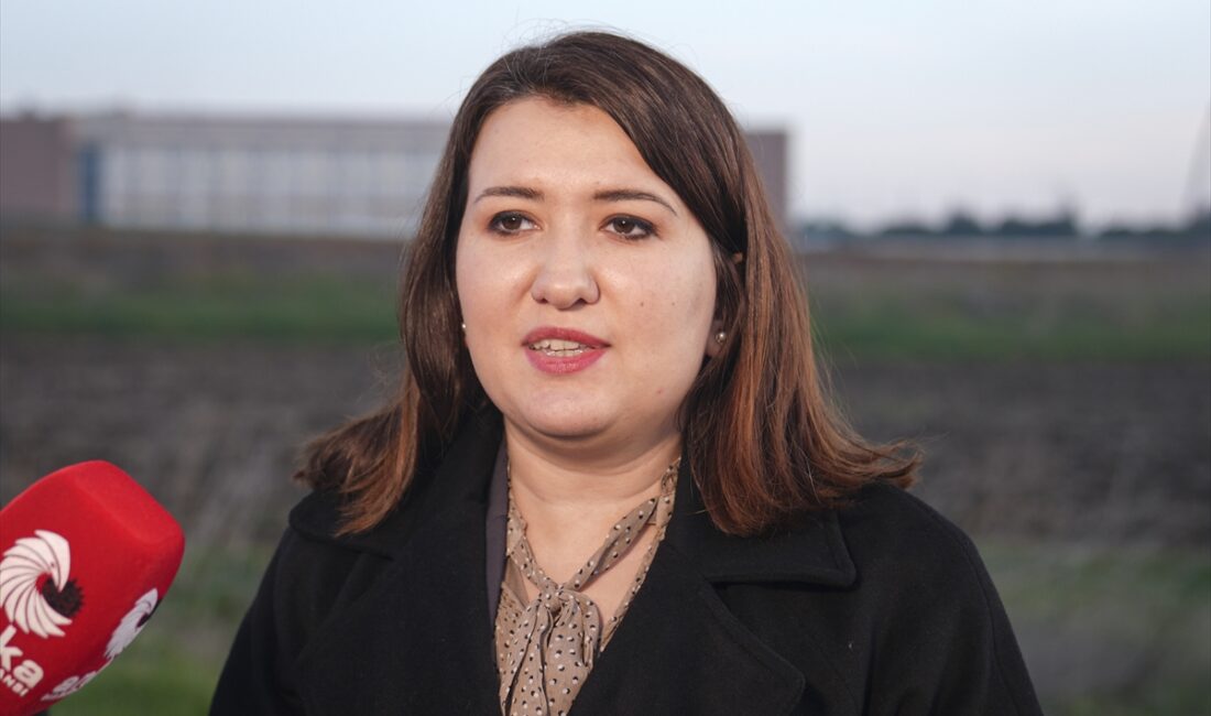 İSTANBUL (AA) – CHP Genel Başkan Yardımcısı Gökçe Gökçen, yolsuzluk