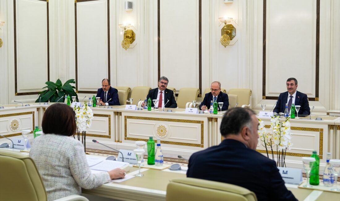 BAKÜ (AA) – Cumhurbaşkanı Yardımcısı Cevdet Yılmaz, Azerbaycan Milli Meclisi