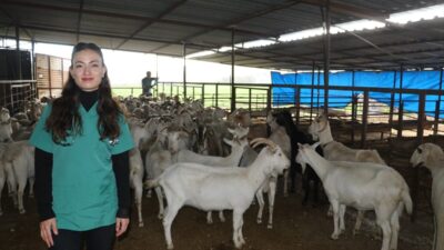 - Adana'da, Tarım ve Orman Bakanlığın "Kırsal Kalkınmada Uzman Eller