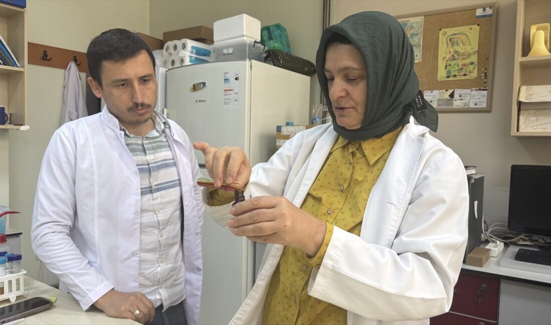 - Trabzon'da akademisyenlerin yürüttüğü bilimsel çalışma ile son yıllarda "süper