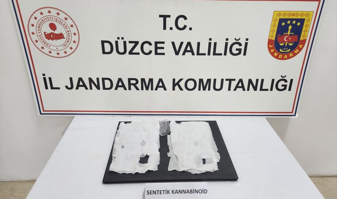 DÜZCE (AA) – Anadolu Otoyolu'nun Düzce kesimindeki bir dinlenme tesisinde