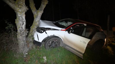 EDİRNE (AA) – Edirne'nin Havsa ilçesinde yoldan çıkan otomobildeki 3