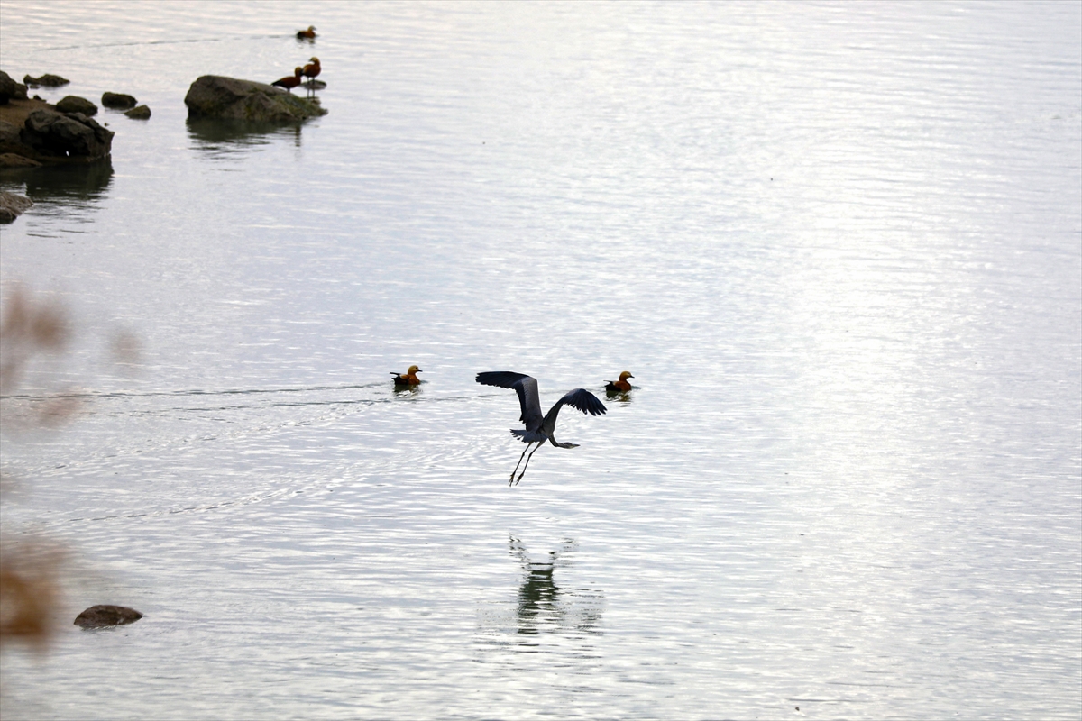 - Elverişli iklimi, barındırdığı balık popülasyonu, bitki örtüsü ve kıyı