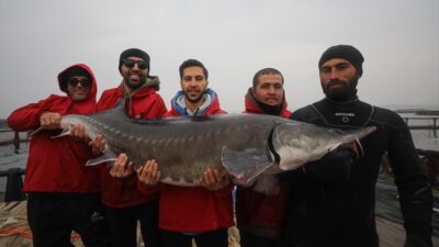 - Keban Baraj Gölü'nde 4 çeşit mersin balığı yetiştirilen tesiste