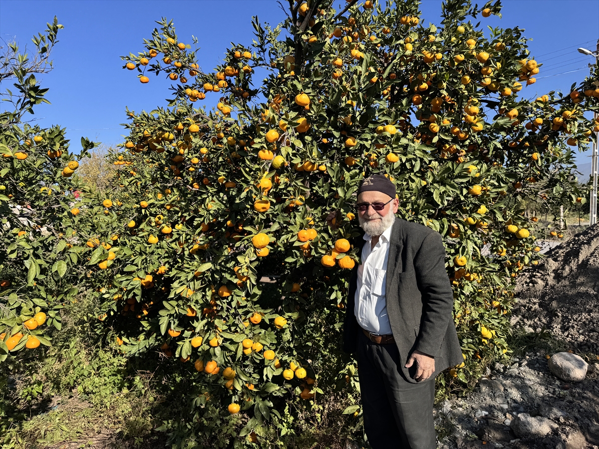 HATAY (AA) – Denizli'de yaşayan 75 yaşındaki Muhammet Yılmaz, Hatay'ın