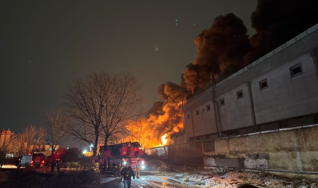 İSTANBUL (AA) – Esenyurt'ta bir kahve firmasına ait fabrikada çıkan