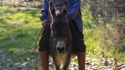 - Manisa'da oturan 82 yaşındaki görme engelli Raif Kurt, ilçe
