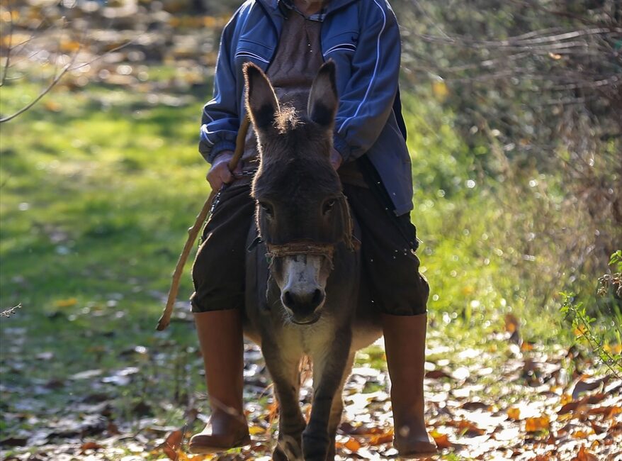 - Manisa'da oturan 82 yaşındaki görme engelli Raif Kurt, ilçe