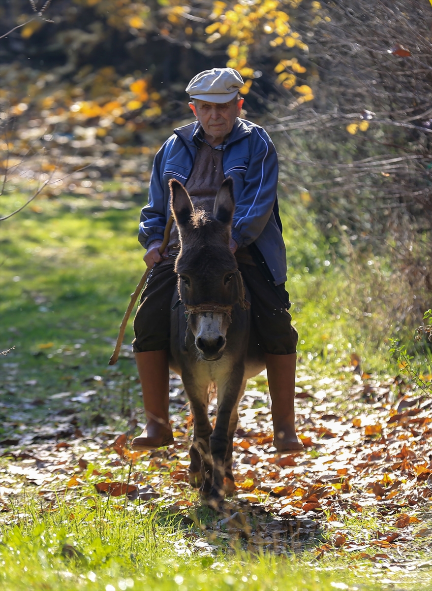 - Manisa'da oturan 82 yaşındaki görme engelli Raif Kurt, ilçe